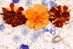 多彩花卉与饰品组合