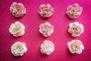 粉色背景上的精致花朵