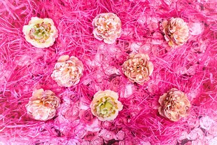 粉色背景上的精致绣球花