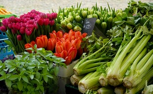 新鲜多彩蔬菜陈列展示