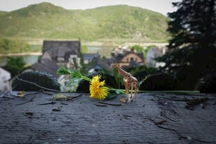 户外露营场景中的多彩装备