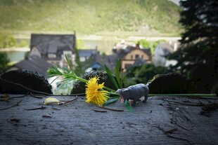 户外微景观中的可爱摆件