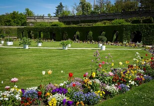美丽花园中的多彩花卉景观