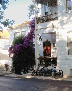 街边雅致小屋与烂漫繁花