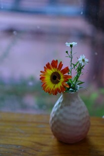 花瓶中的多彩小花