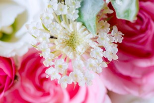 粉色玫瑰与精致雪花装饰