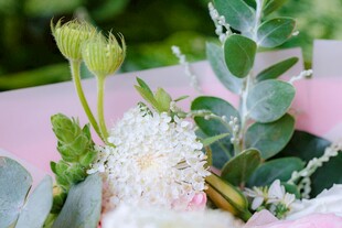 粉色背景中的清新花卉组合