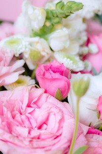 粉色系美丽花卉特写