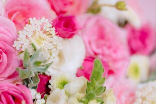 缤纷多彩的浪漫花卉组合