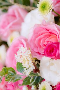 缤纷娇艳花卉组合