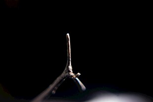 微距下的金属物件细节