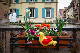 街头多彩花盆与可爱玩偶