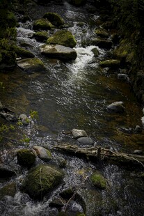 山间溪流 石上青苔美景