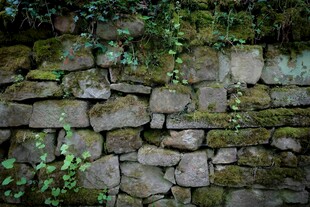 长满青苔的古老石墙