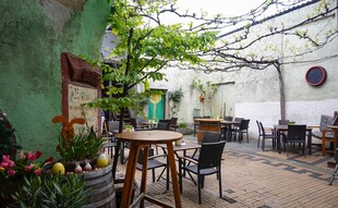 庭院休闲角落 绿植相伴