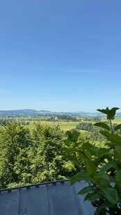 俯瞰葱郁山林美景