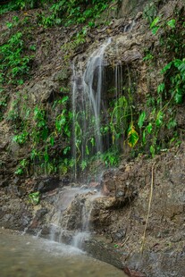 山间小瀑布 绿意环绕