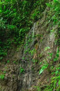 山间绿植覆盖的岩石峭壁