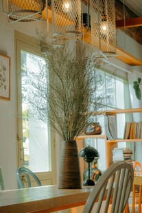 温馨室内绿植装饰场景