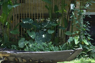 庭院中的古朴木船与绿植