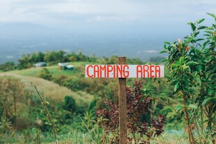田园风光中的醒目红色标牌