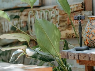 室内绿植与木质摆件景观