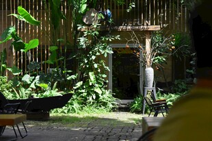 静谧绿植环绕的庭院一角