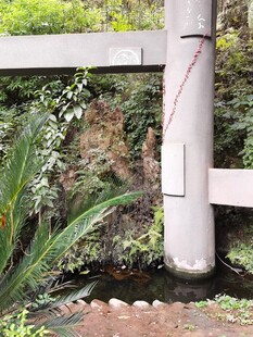 户外管道旁的绿植景观