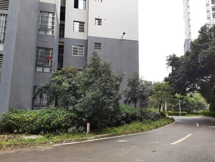 住宅区旁的弯曲道路景观