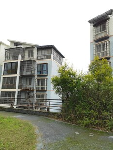 现代风格住宅楼旁绿植小径