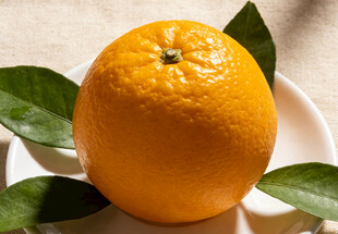 盘中鲜橙带绿叶