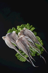 新鲜鱿鱼