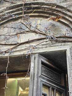 老旧斑驳的拱形门窗