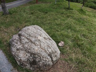 路边草地中的一块大石头