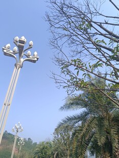 户外景观灯与绿树蓝天