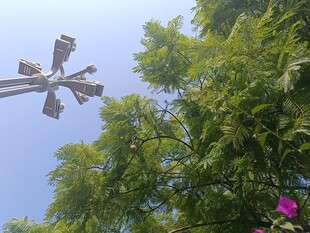 空中风车与葱郁绿树