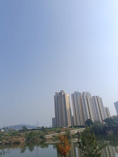 湖畔高楼林立的城市风光