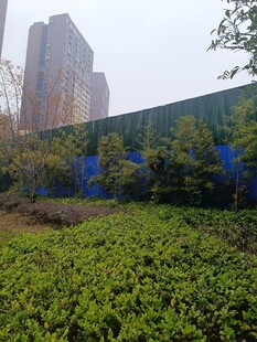 城市绿植景观