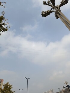 城市中的独特路灯景观