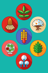 多样植物图标集