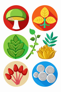 多样植物食材图标展示