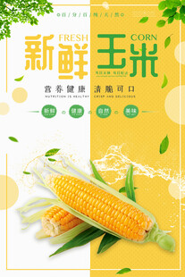 新鲜玉米