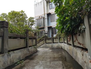 幽静小巷绿植环绕的通道