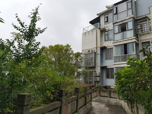 小区旁绿植环绕的步道