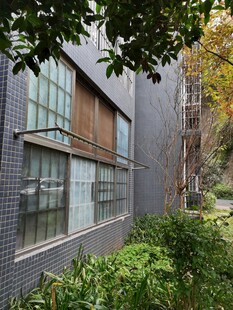 现代建筑旁的绿植景观