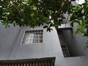 灰色建筑旁的繁茂绿树