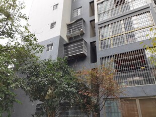 城市中带绿植的居民楼