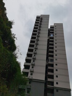 绿植环绕的高层住宅楼