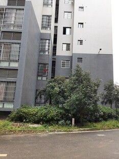 现代住宅旁的绿植景观