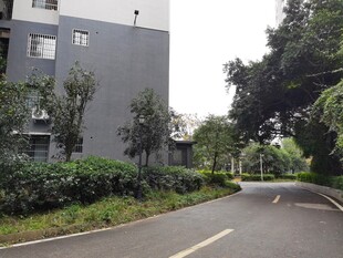 小区内的宁静道路景观